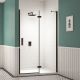 Merlyn Black Hinge & Inline Shower Door