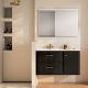 Delta 2 Drawer Wall Hung Vanity and Ribbed Door with a Left or Right Hand Basin