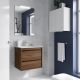 Attila 600mm 2 Drawer Wall Hung Vanity and Basin (Maya Walnut)