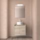 Salgar Noja 600mm 2 Door Wall Hung Vanity and Countertop without Basin (Natural)