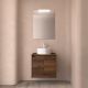 Salgar Noja 600mm 2 Door Wall Hung Vanity and Matching Countertop without Basin (Maya Walnut)