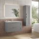 Elna 1000mm 2 Drawer Wall Hung Vanity with Reinforcing Bar, Basin and Chrome Handles (Matt Mist)