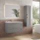 Elna 1000mm 2 Drawer Wall Hung Vanity with Reinforcing Bar, Basin and Brushed Brass Handles (Matt Mist)