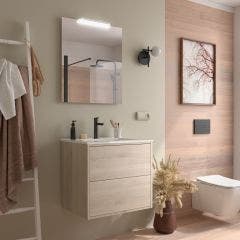 Salgar Optimus 2 Drawer Wall Hung Vanity and Basin